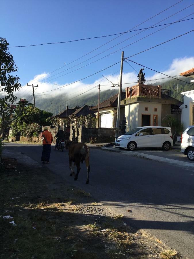 Kintamani The Villa'S Kubu Sandan מראה חיצוני תמונה