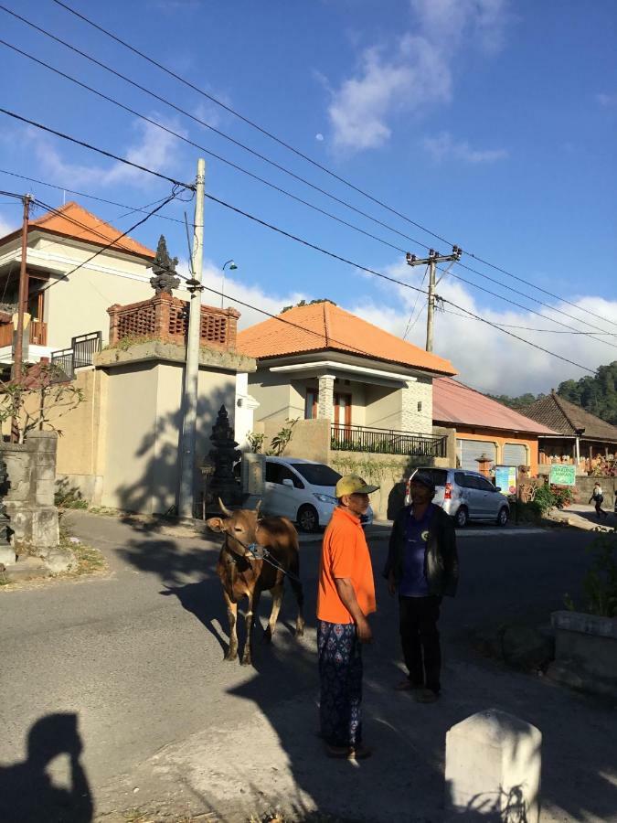 Kintamani The Villa'S Kubu Sandan מראה חיצוני תמונה
